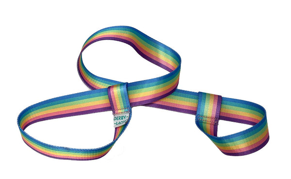 Derby Laces Skate & Gear Leash - Pastel Rainbow